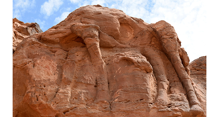 En kamel är huggen i klippan