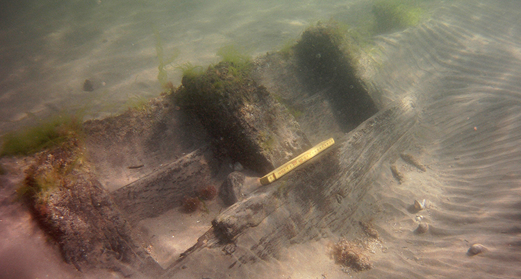 I sandbotten syns en del av ett gammalt vrak av trä. En gul tumstock ligger på vraket.