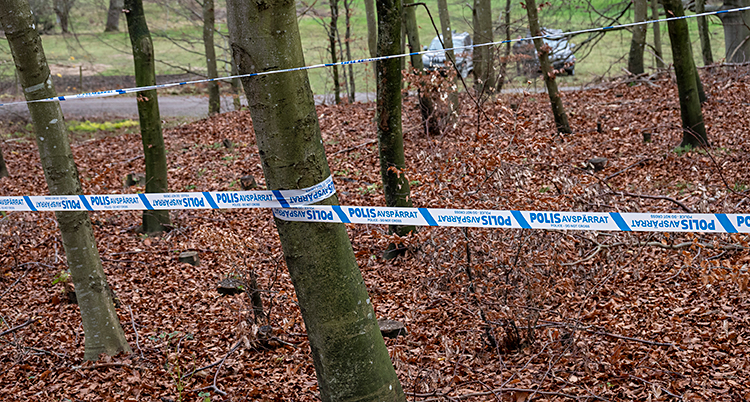 Poliserna har satt upp band mellan träd i en skog.