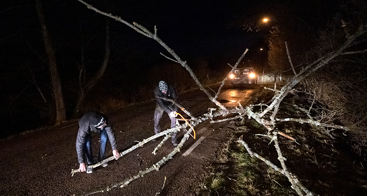 Två män arbetar med att ta bort ett träd från en väg. Det är mörkt.