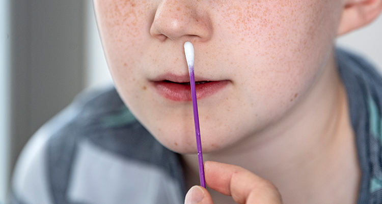 En pojke får en pinne av bumull i näsan.