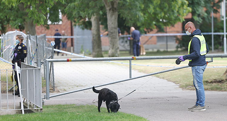 Flera poliser jobbar utomhus i Malmö. En av poliserna har en hund.