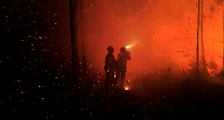 En skog som brinner och brandmän i förgrunden.