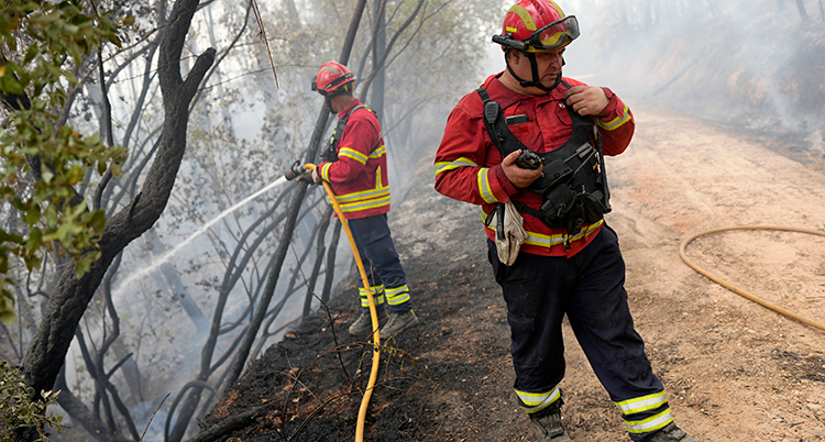 Brandmän släcker skogsbrand.Brandmän i Portugal försöker släcka skogsbrand. Foto: Armando Franca/AP/TT
