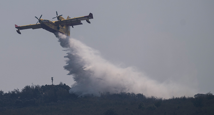 Ett brandflygplan släpper vatten över en markbrand.