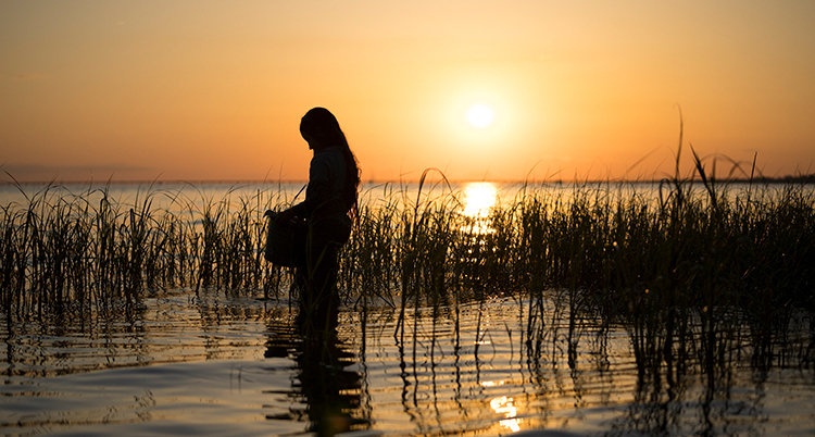 En flicka står i våtmarken. Bilden är orange och mörk. I bakgrunden syns solen.