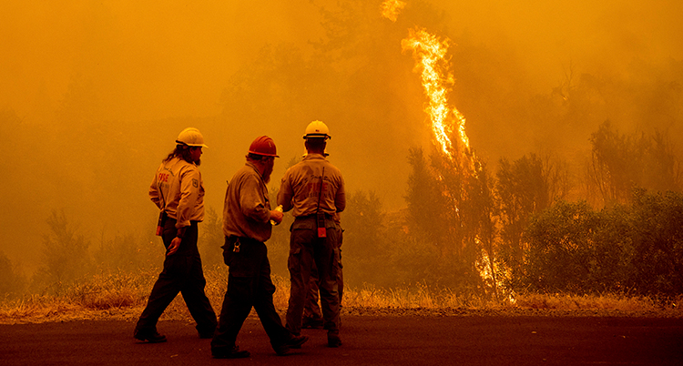 Tre personer står i hjälmar med ryggarna mot kameran. Det är gult av branden som syns i skogen. Det syns eldslågor.