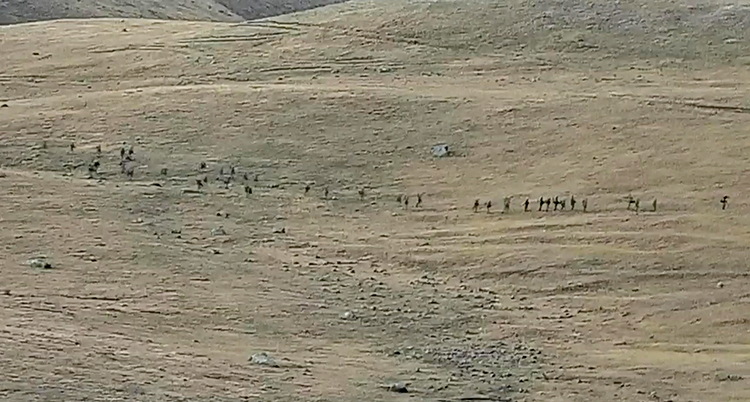 Prickarna på bilden är soldater på en kulle.