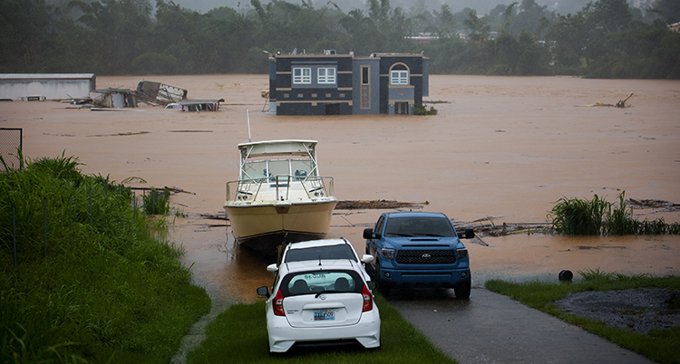 Tre bilar och en båt syns närmast i bild. I bakgrunden syns ett hus till hälften i vatten. Vattnet är brunt.