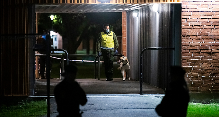 Det är mörkt ute. En polis går med en hund i ett bostadsområde. Två andra poliser syns också.