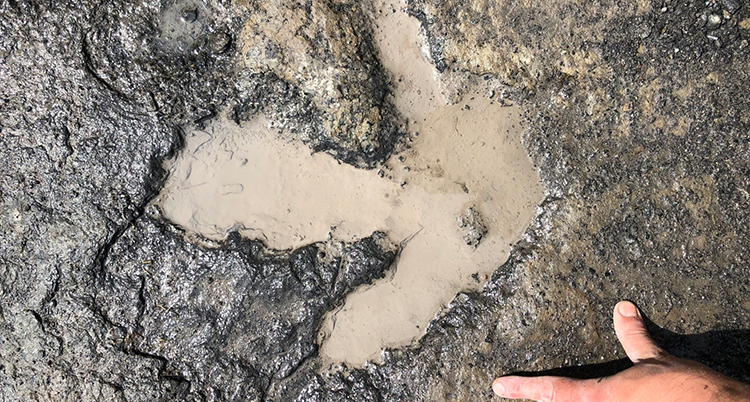 Ett vattenfyllt fotavtryck i leran. En bit av en människas hand syns intill.