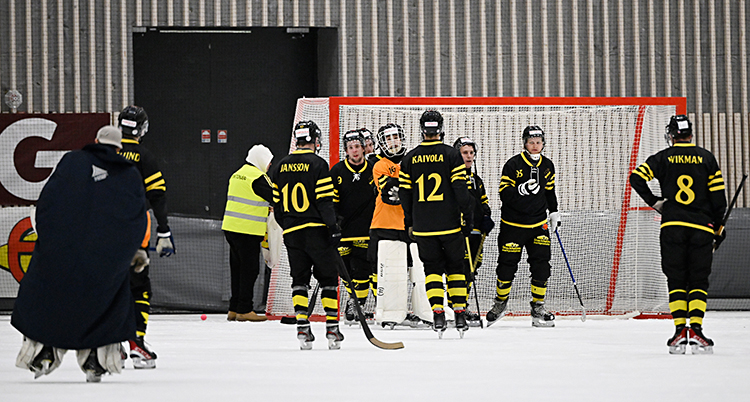 Spelare i AIK bandy är på isen efter en match.