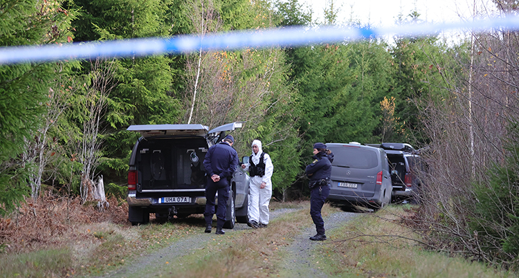 Ett band spärrar av en skogsväg med två bilar som tillhör poliserna. Flera poliser syns vid bilarna.