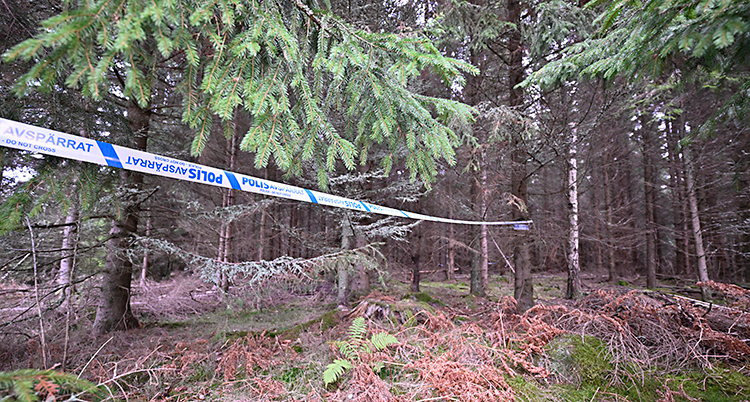 Poliserna har spärrat av med band ute i skogen.