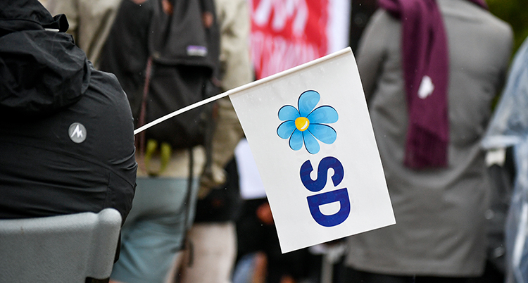 Sverigedemokraternas flagga. Det står SD på den och den har en blå bomma.