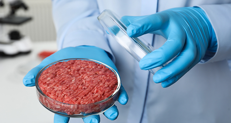 Scientist,Holding,Petri,Dish,With,Minced,Cultured,Meat,In,Laboratory,