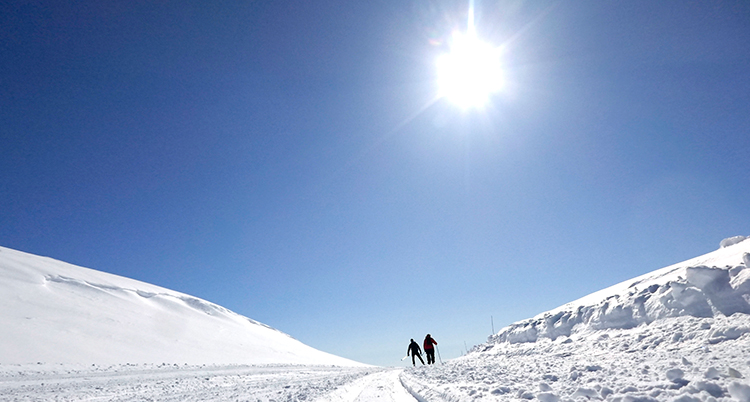 En blå himmel med en strålande sol. På marken är det snö. Två personer åker skidor.