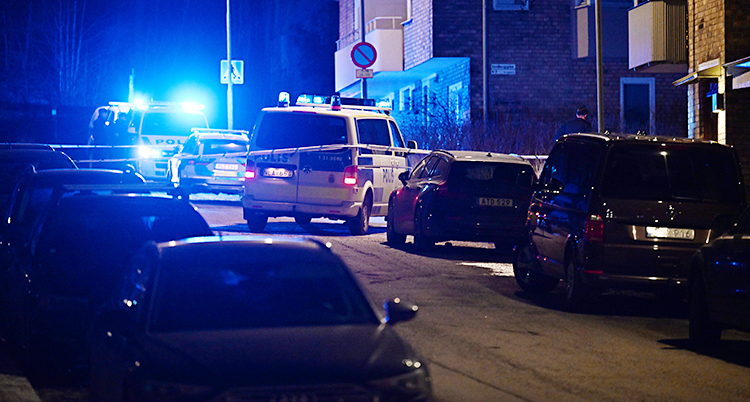 Flera polisbilar på en mörk gata.