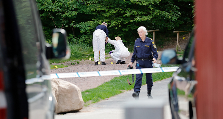 Poliserna har spärrat av en plats där det finns gräs och buskar. Tre poliser är ute och jobbar.