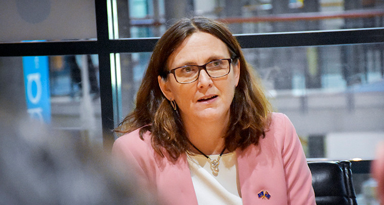 Porträtt på Malmström.