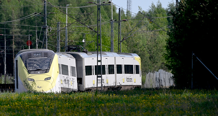 Tåget står i gräset.