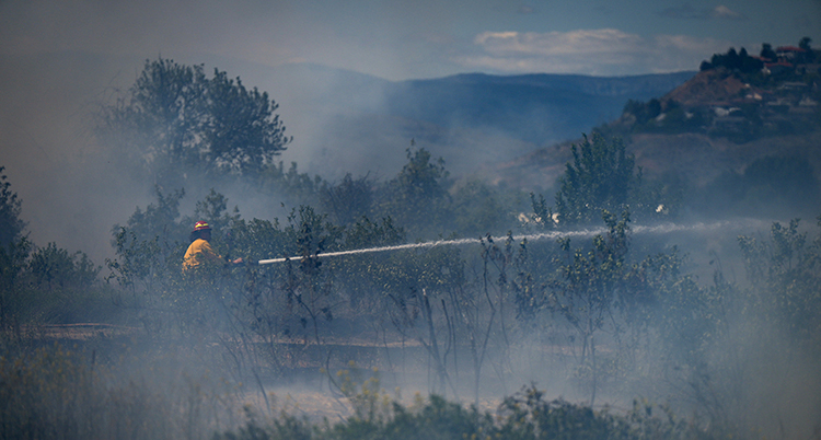 En brandman sprutar vatten i en rökig skog.