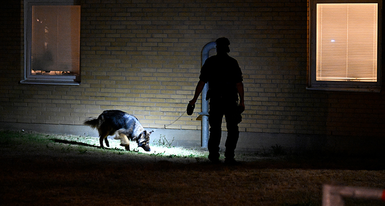 Polisman med hund utanför ett hus i mörker.