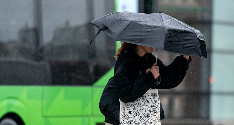 Hon går under ett svart paraply som buktar av blåsten.Bakom syns en grön buss.