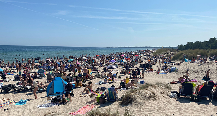 En strand med många människor
