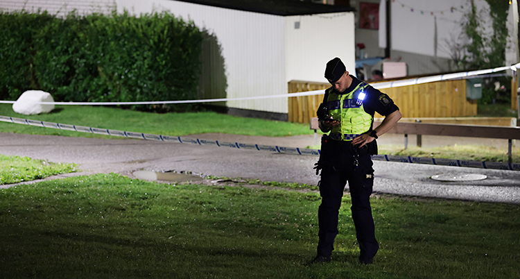 Det är mörkt ute. En polis går och lyser med ficklampa på en gräsmatta utanför några hus.