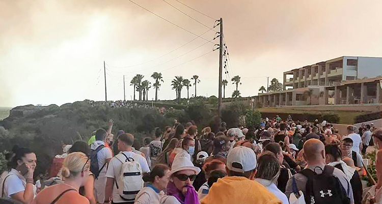 Massor av människor står framför ett hus. I horisonten syns palmer och mörk rök.