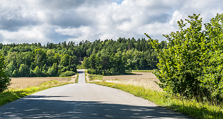 En landsväg som går över några fält och in mot en skog.