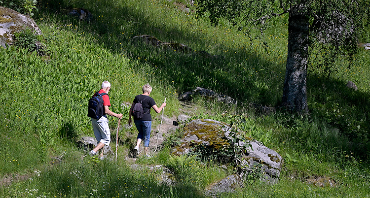 Två pensionär går på en stig över en äng.