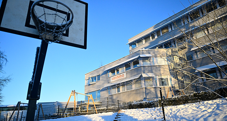 En byggnad på vintern med en basketkorg i förgrunden.