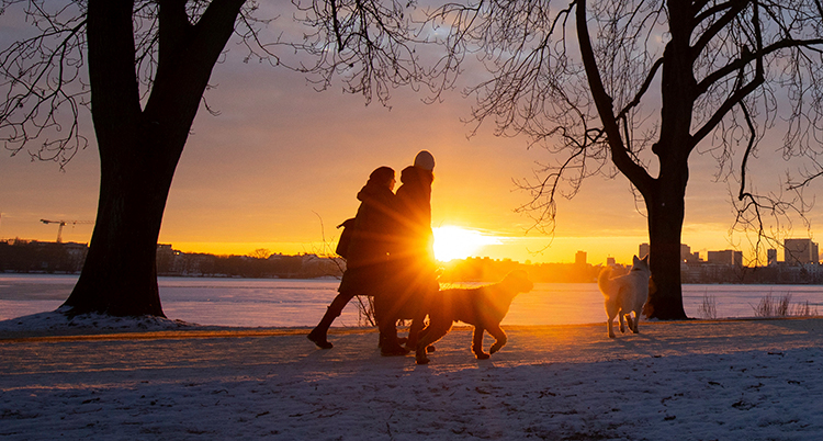 Ett par och en hund promenerar i vintermiljö medan solen går upp.