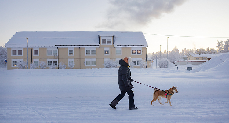 Det är vinter och kallt. En person är ute och går med sin hund.