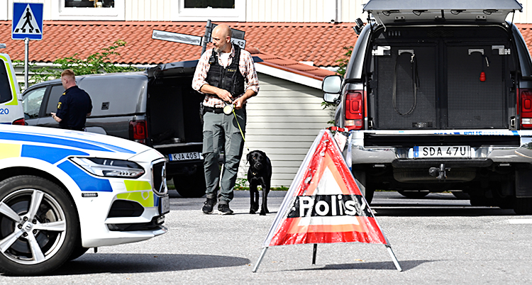 En polis går med en hund på en gata.