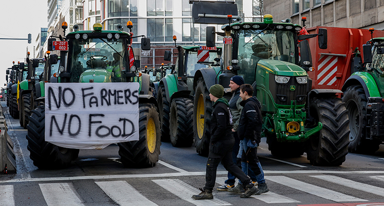 Massa traktorer parkerade på en gata. På en traktor står en banderoll: no farmers no food.