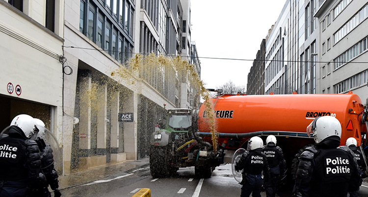 Belgium EU Agriculture