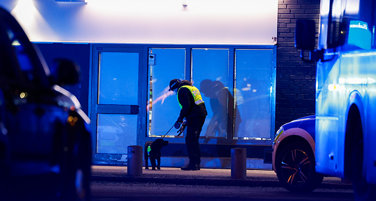 En polis och en polishund syns vid stora glasfönster. Det är mörkt ute.