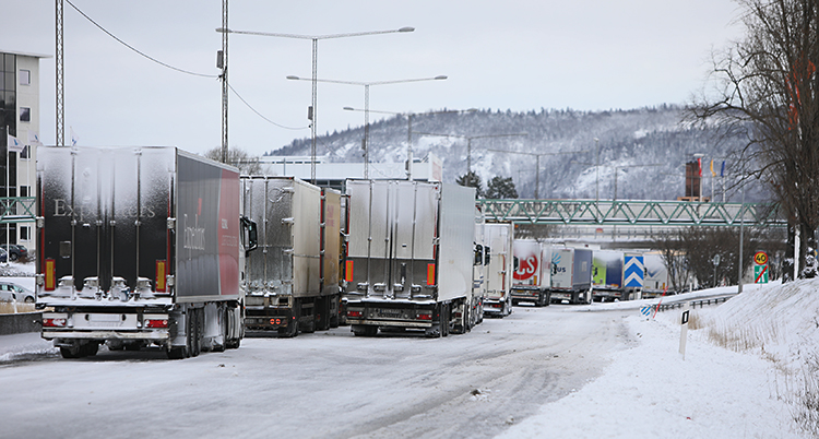 Många lastbilar som står i kö på en väg. Det är snö på vägen.