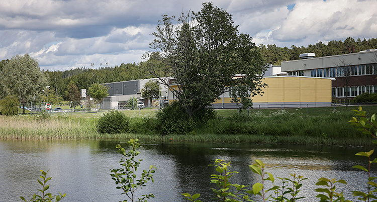 En älv i Hagfors. På andra sidan vattnet syns hus och träd.
