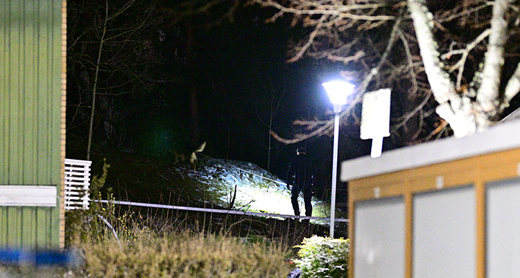 Det är natt. En polis med ficklampa syns mellan några hus.
