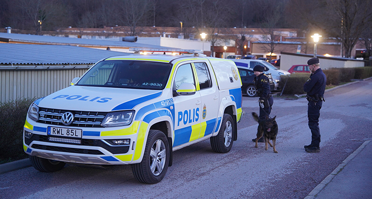 Två poliser med en hund står vid en stor polisbil i ett bostadsområde.