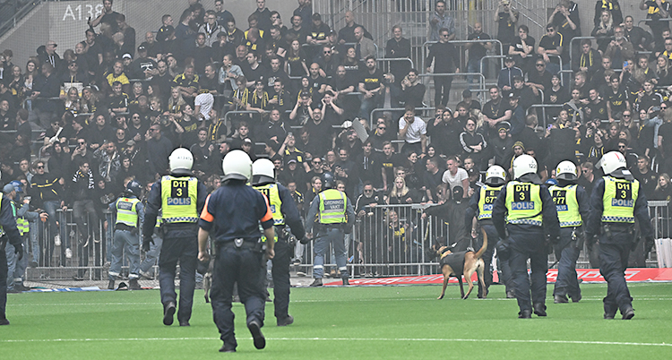 Poliser som går på en fotbollsplan. De går mot en läktare där det står publik.