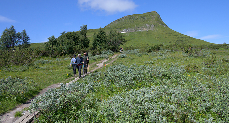 VANDRA I FJÄLLEN