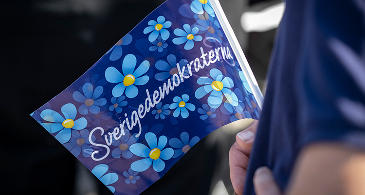 En dold person håller i en flagga med Sverigedeomkraternas blomma och text.