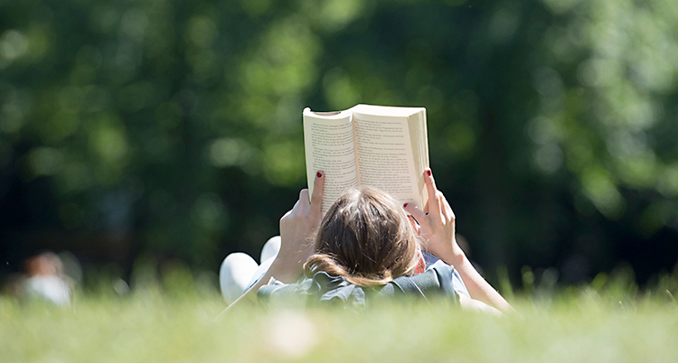 Det är en solig dag. En kvinna ligger på en gräsmatta och läser. Vi ser hennes huvud bakifrån.
