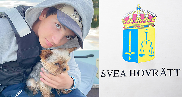 Bilden är delad i två. Till vänster är en pojke med en hund. Till höger är en bild där det står Svea Hovrätt.