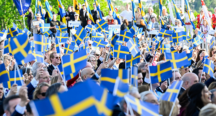 Många människor med svenska flaggor.